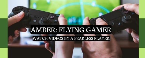 Green Flying Gamer Channel Twitch Banner