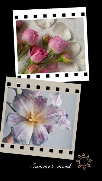 美しい花と夏の気分 Instagram Story
