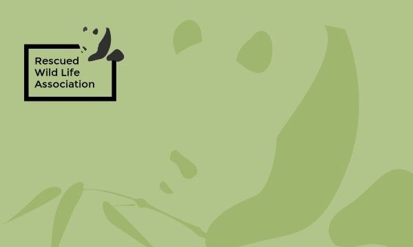 charity, ngo, organization, Green Illustration Non-profit Wildlife Association Business Card Template