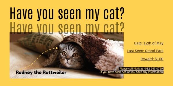pet, animal, missing cat, Have You Seen My Cat Twitter Post Template