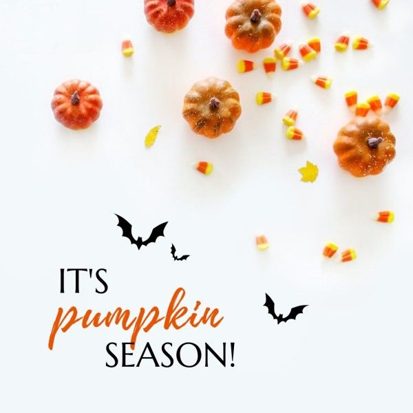 halloween, holiday, greeting, Pumpkin Season Instagram Post Template