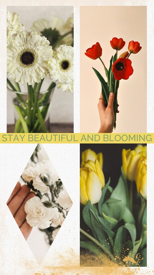 floria, stay, beautiful, Created By The Fotor Team Template