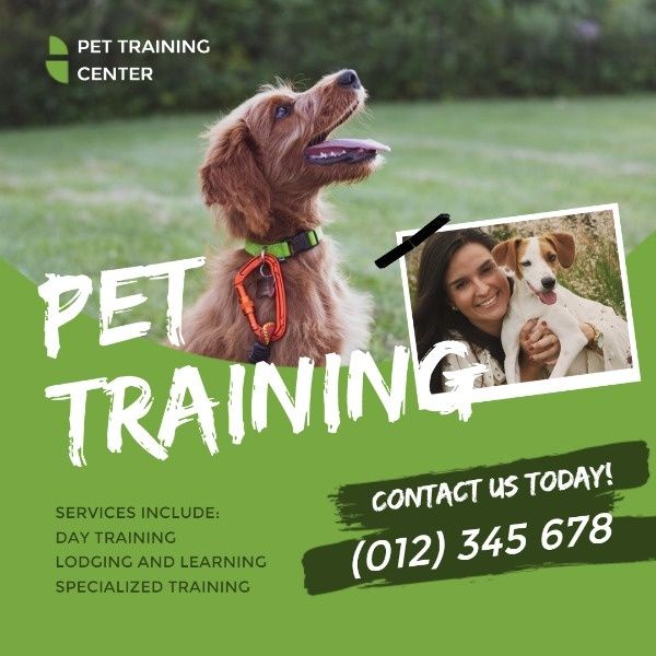 animal, business, puppy, Green Pet Training Ads Instagram Post Template
