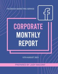 蓝色与现代 Facebook 企业月度报告 报告