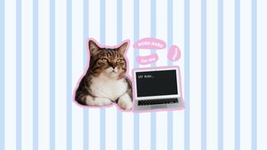 白と青のストライプの背景猫ミーム デスクトップの壁紙