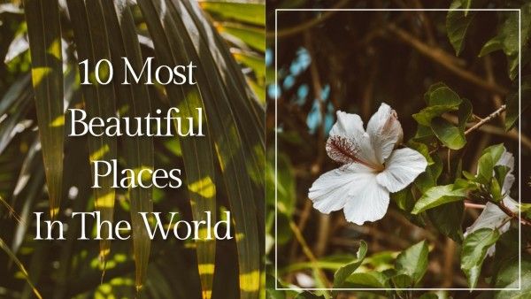 tree, flower, rainforest, Green 10 Most Beautiful Places In The World Travel Youtube Thumbnail Template