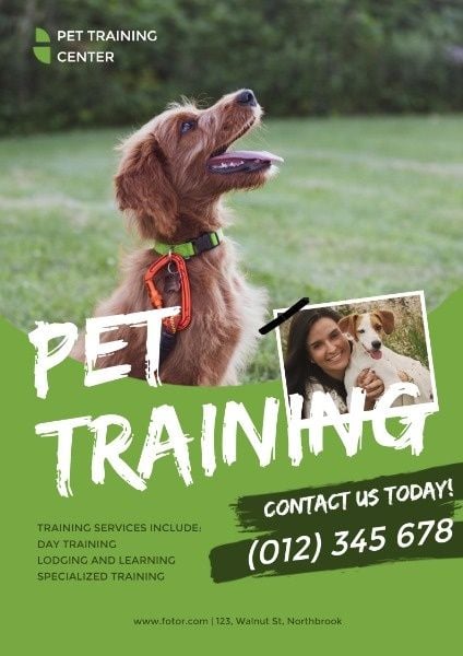 绿色宠物训练服务广告 英文海报