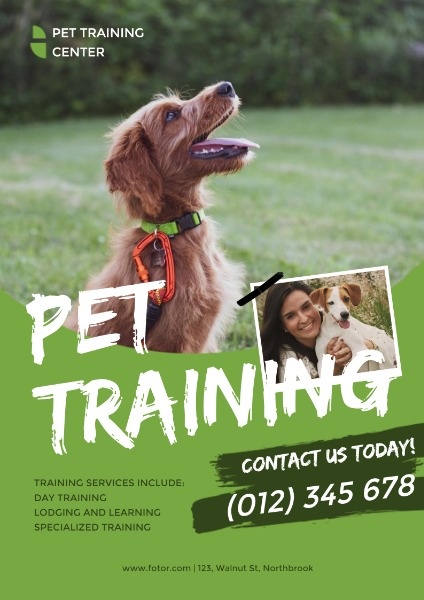 绿色宠物培训服务广告 英文海报
