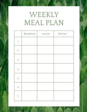 每周膳食计划 课程计划