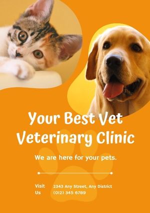 pet, clinic, dog, Orange Veterinary Hospital Poster Template