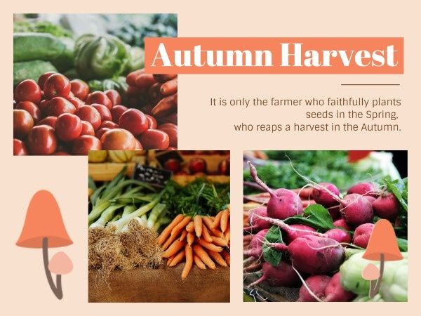 Autumn Harvest Card