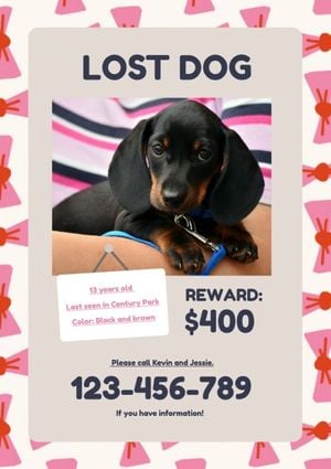 pet, missing, find, Pink Lost Dog Poster Template