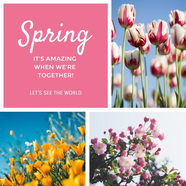 spring, flower, floral, Created By The Fotor Team Template