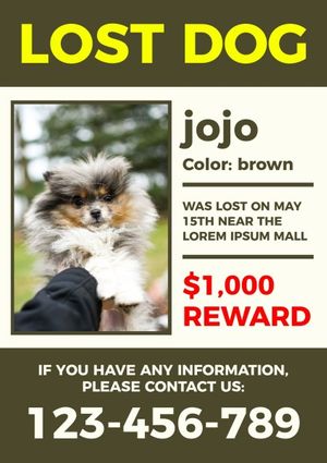 Missing Pets Ad Poster Template and Ideas for Design | Fotor