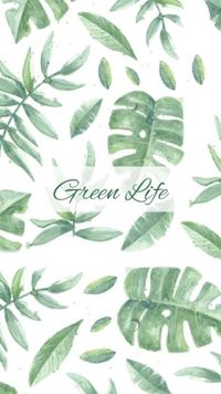 绿色生活 手机壁纸