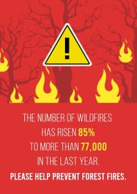 environment protection, prevention, forest protection, Call To Prevent Forest Fire Poster Template