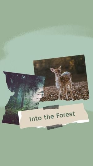 travel tips, tree, nature, Exploration In The Forest  Instagram Story Template
