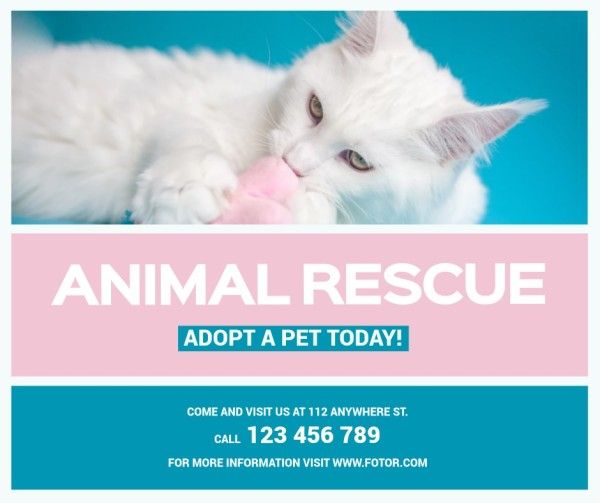 shelter, help animal, cat, Blue Animal Rescue Facebook Post Template