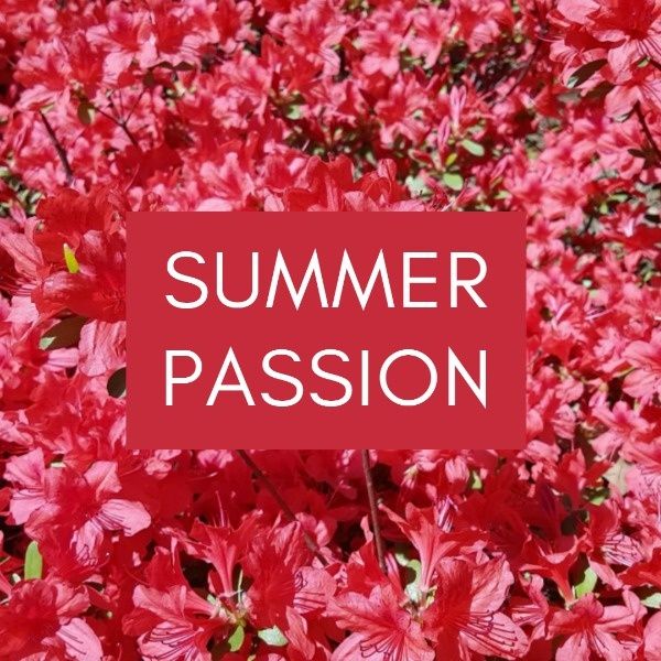 social media, life, season, Red Summer Passion  Instagram Post Template