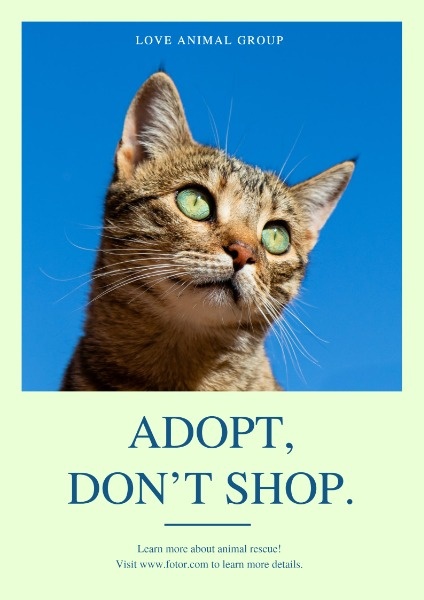 Animal Adoption  Poster