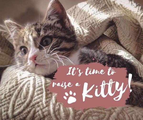 kitty, pet, pet adoption, Cat Video Facebook Post Template