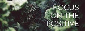 focus, positive, vegetable, Green Plant Quote Banner Facebook Cover Template