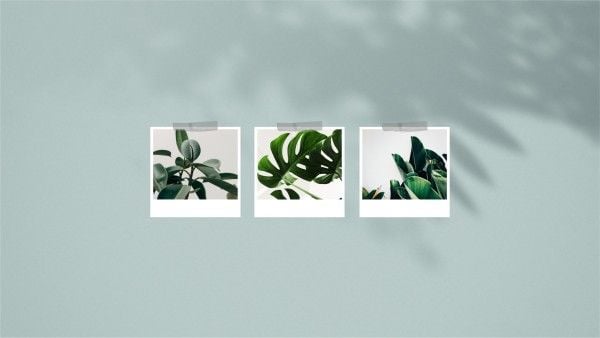 plants, leaves, nature, Green Minimalist Polaroid Photo Collage Desktop Wallpaper Template