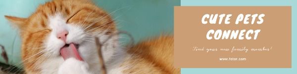 animal, pet adoption, company, Cute Pets LinkedIn Background Template