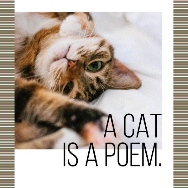 かわいい猫のコラージュ Instagram投稿