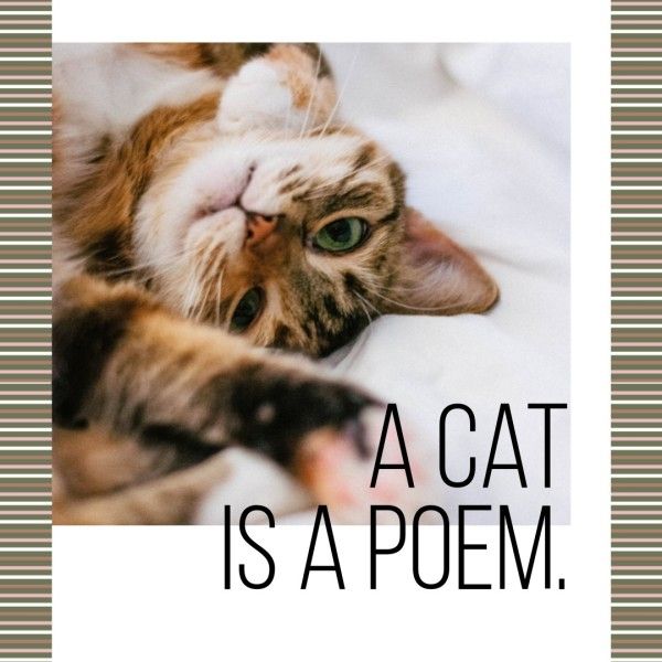 pet, animal, photo, Cute Cat Collage Instagram Post Template