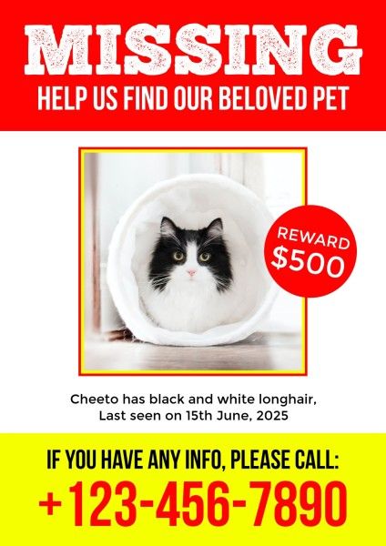 白色和红色失踪宠物广告 英文海报