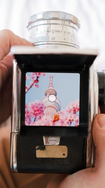 cherry, sakura, flower, Camera Mockup Spring Blossom Travel Photography Instagram Story Template