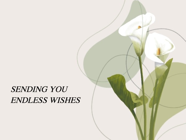 White Spring Floral Wishes Card Card