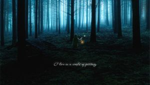 forest, nature, horror, Dark Blue Halloween Night Desktop Wallpaper Template