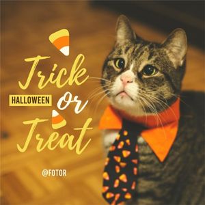 holiday, festival, party, Yellow Cat Halloween Instagram Post Template
