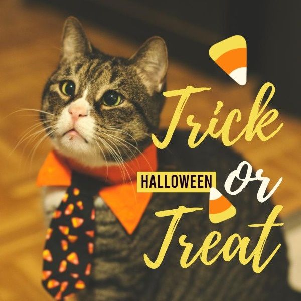 holiday, festival, party, Yellow Cat Halloween Instagram Post Template