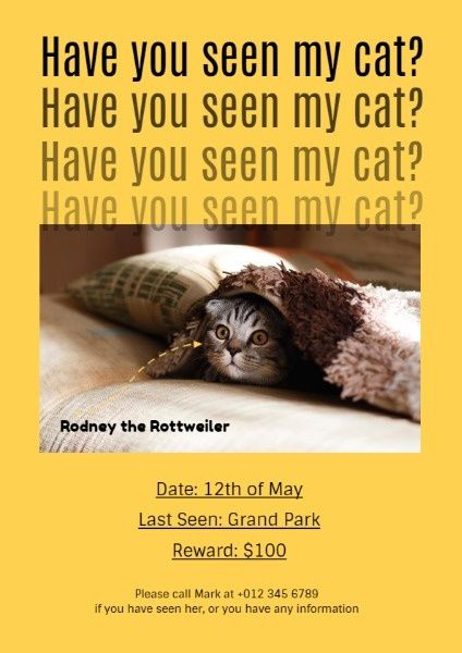 pet, animal, missing cat, Have You Seen My Cat Flyer Template