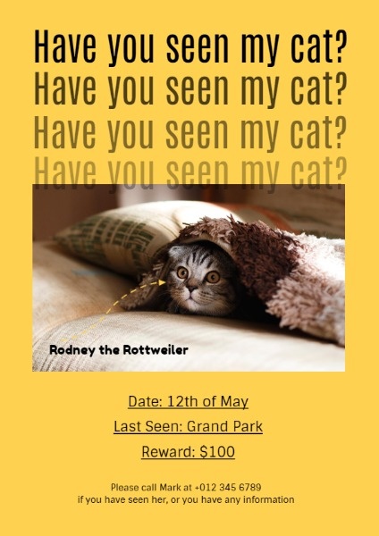 Have You Seen My Cat Flyer