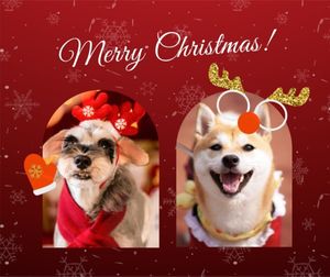 merry christmas, festival, holiday, Red Christmas Selfie Collage Facebook Post Template
