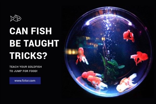 article, tips, guide, Can Fish Be Taught Tricks Blog Title Template
