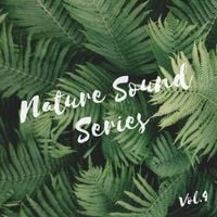 自然之声 专辑封面