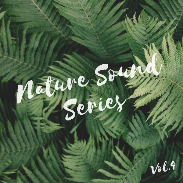 自然之声 专辑封面