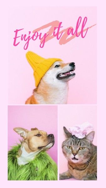 pets, brush, photo, Pink Dog And Cat Instagram Story Template