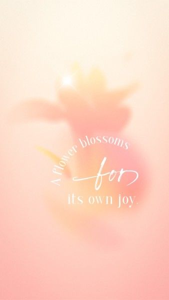 abstract, star, flower, Pink Dreamy Gradient Spring Quote Instagram Story Template