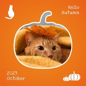 橙色简单的秋天可爱的宠物写真 Instagram帖子