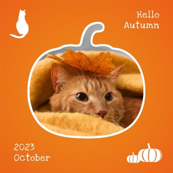 pumpkin, cat, fall, Orange Simple Autumn Cute Pet Photo Instagram Post Template