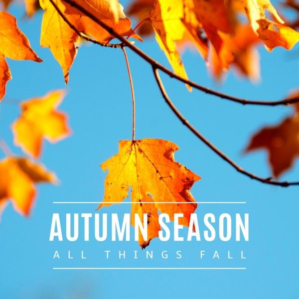 青と黄色の秋の季節 Instagram投稿