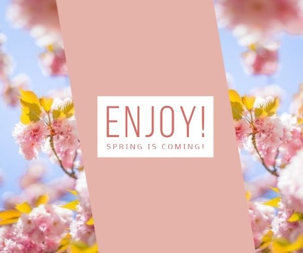 season, life, springtime, Pink Spring Blossoms Banner Facebook Post Template