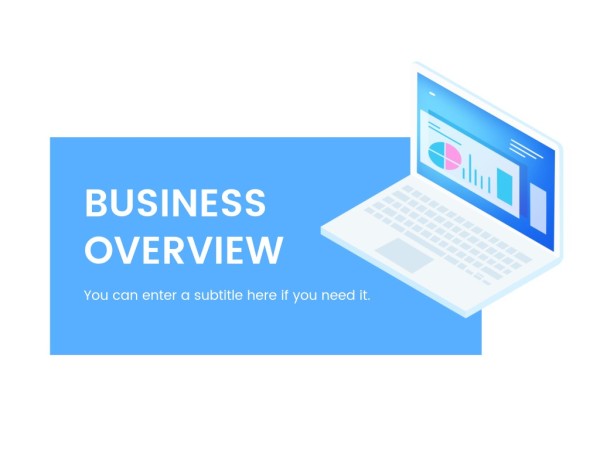 Business plan pdf picture
