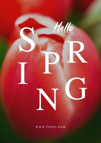 greeting, flower, floral, Beautiful Spring Poster Template